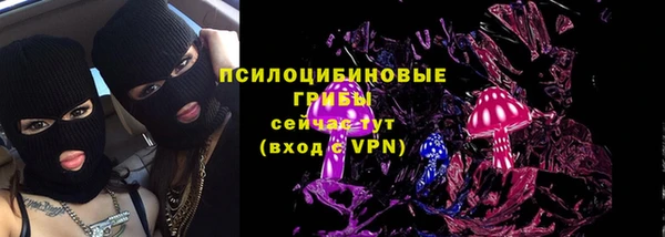 бошки Абаза