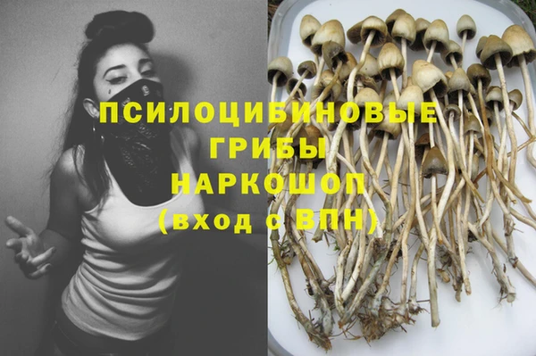 тгк Абдулино
