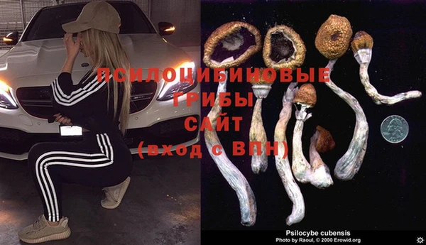 гашиш Абинск
