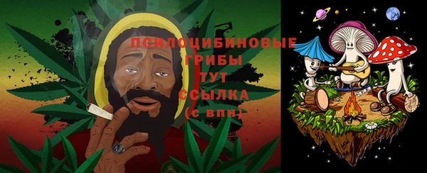 бошки Абаза